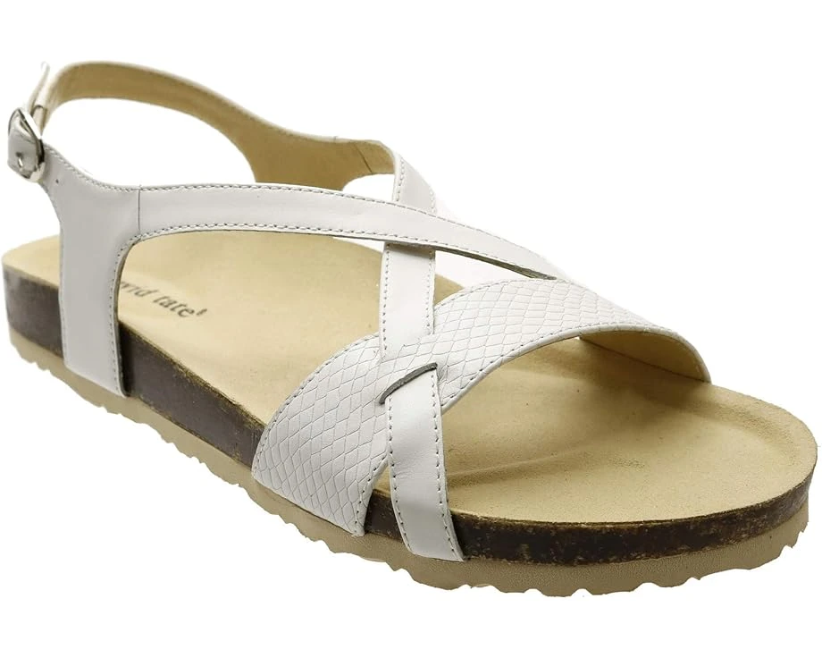 David Tate Genius 3 David Tate Genius