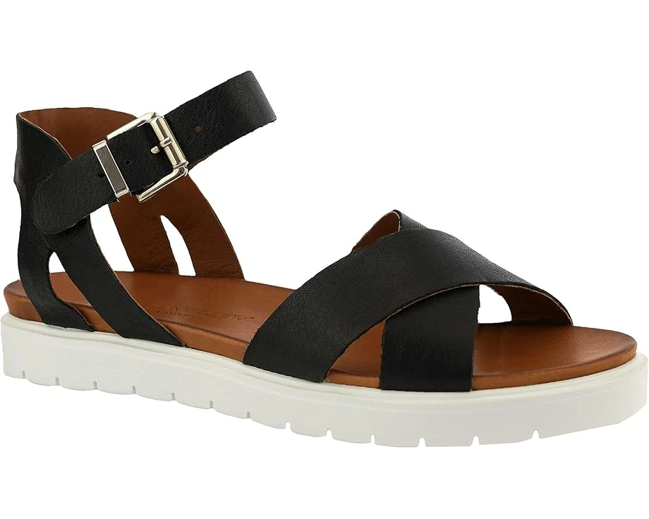 Unity In Diversity Ivy 06 3 Unity In Diversity Ivy 06